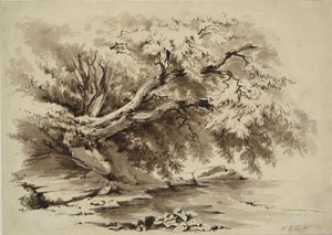 Paysage avec des arbres surplombant un lac - William Collingwood Smith