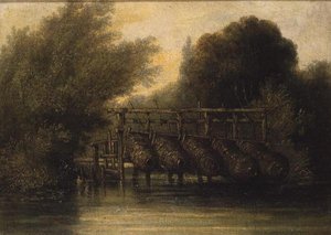 Paniers à anguilles