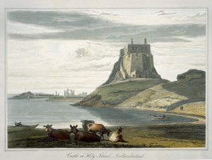 Château sur l