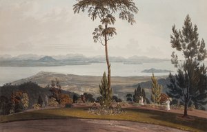Vue de Strawberry Hill, île du Prince de Galles - William Daniell