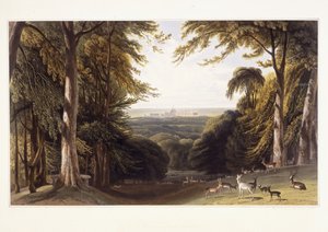 Château de Windsor depuis le parc aux cerfs, vers 1827-1829 - William Daniell