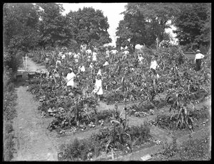 Enfants travaillant dans le jardin de l