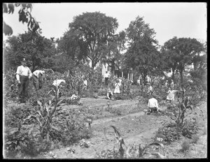 Enfants travaillant dans le jardin de l