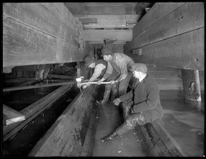 Hommes travaillant dans l