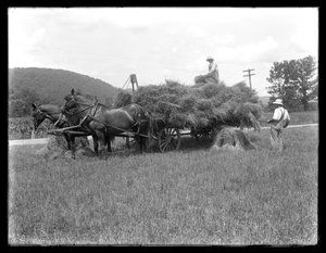 Deux hommes chargeant des gerbes de blé sur une charrette tirée par des chevaux, probablement la ferme McCready, comté de Crawford, Pennsylvanie - William Davis Hassler