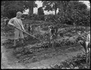 William Gray Hassler travaillant dans le jardin de l