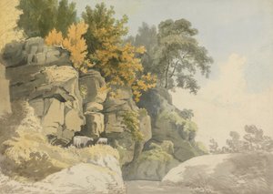 Rochers boisés près d