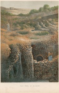 La Piscine de Siloé - William Dickes