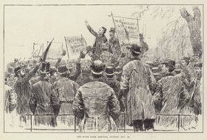 La Réunion de Hyde Park, dimanche 20 novembre - William Douglas Almond