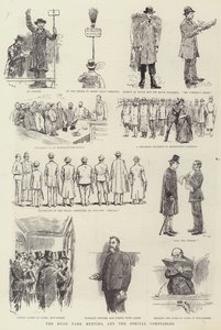 La réunion de Hyde Park et les constables spéciaux - William Douglas Almond