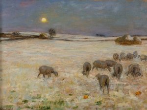 Moutons dans la neige