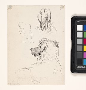Chien (Recto), Chien et vache (Verso)