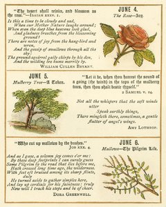 Page du Livre Anniversaire de la Bible Emblème - William Foster