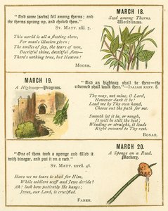 Page du Livre Anniversaire de la Bible Emblème - William Foster