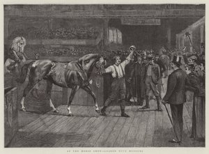 Au salon du cheval, chargé d