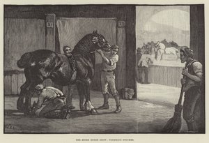 Le Salon du cheval de trait, dernières touches