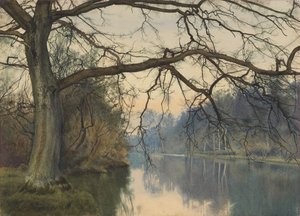 Un grand arbre sur une rive - William Fraser Garden