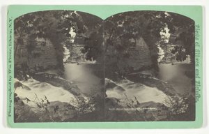 Chutes de la forêt vues d