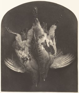 Un couple de grouses - William Frederick Lake Price