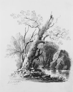 Bosquet forestier - William Guy Wall