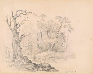 Scène de Scott