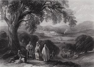 Vallée de Nazareth (gravure) - William H. Bartlett