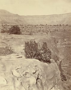 Plateau, au nord du Grand Canyon