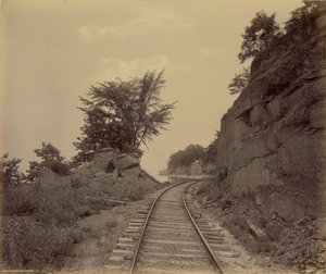 Lac Cayuga, Cat