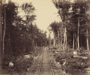 Branche du lac Ganoga - William H. Rau