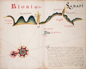 Biobio et Labapi - William Hack
