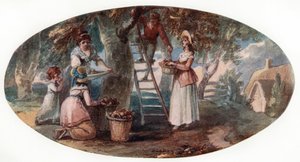 Récolte de fruits, fin du 18ème siècle - William Hamilton
