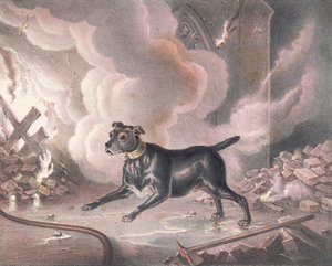 Le chien du pompier de Londres - William Heath