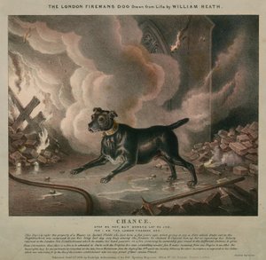 Le chien du pompier de Londres