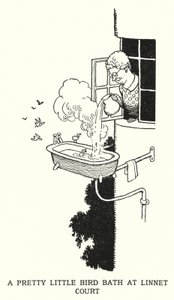 Un joli petit bain d