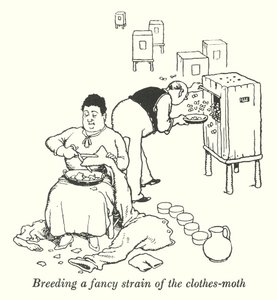 Élever une variété de mites des vêtements (lithographie) - William Heath Robinson
