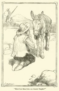 Illustration pour Don Quichotte - William Heath Robinson