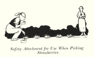 Attachement de sécurité pour la cueillette des fraises (lithographie)