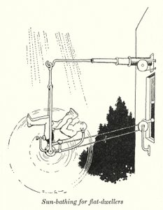 Bain de soleil pour les habitants d