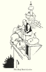 Le Jardin de Rocaille sur le Toit - William Heath Robinson