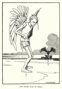 La classe inférieure des oiseaux