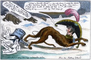 Le chien de chasse corse poursuivi par l