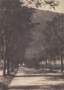 Allée d