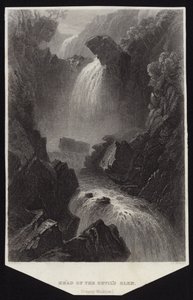 Tête de Devil