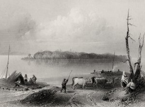 Île Navy, rivière Niagara, Ontario, Canada, gravé par Charles Coulson (1815-89) - William Henry Bartlett