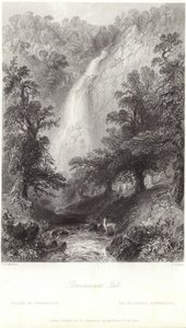 Chute de Powerscourt sur la rivière Dargle - William Henry Bartlett