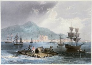 Vue de Montréal et de bateaux - William Henry Bartlett