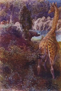Illustration pour The Gorilla Hunters par R M Ballantyne - William Henry Charles Groome