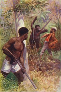 Illustration pour Les Chasseurs de gorilles de R M Ballantyne - William Henry Charles Groome