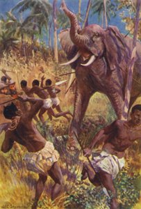 Illustration pour Les Chasseurs de gorilles de R M Ballantyne - William Henry Charles Groome