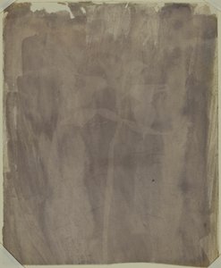 Spécimen botanique - William Henry Fox Talbot